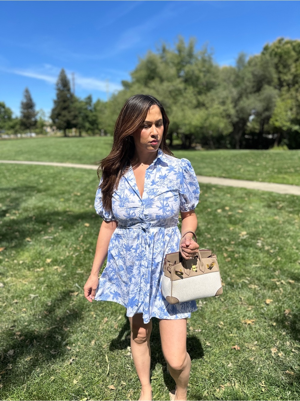 Target Light Blue Floral Mini Dress with Puff Sleeves